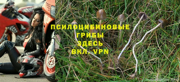Альфа ПВП Волосово